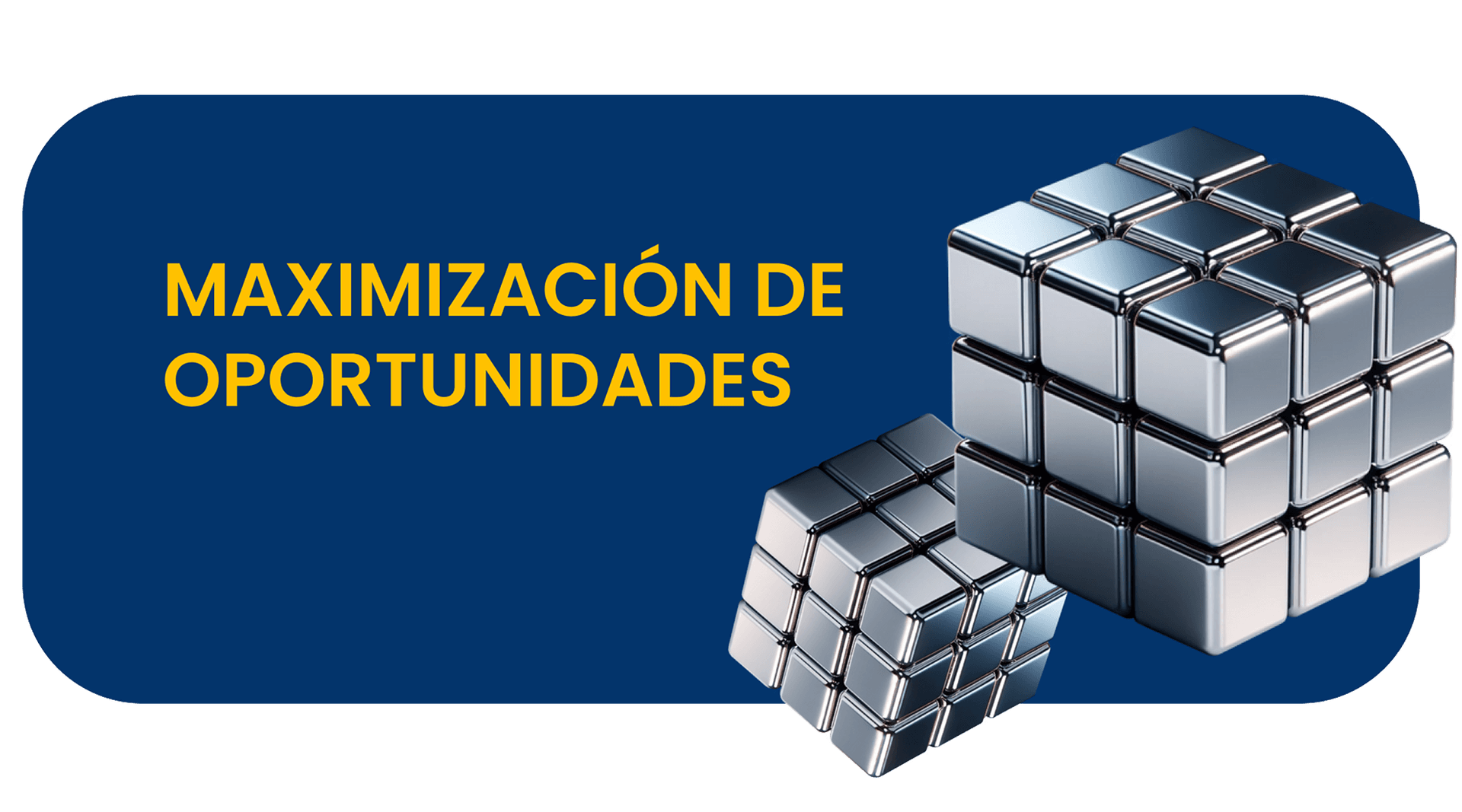 Maximización de oportunidades